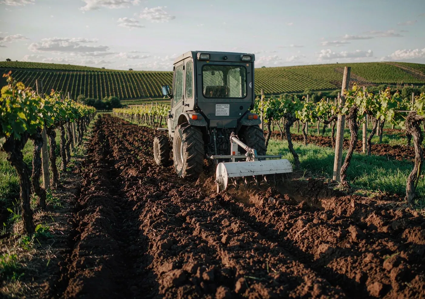 Rotocultivador: elegir ancho, potencia y versión del manual